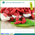 High Quality Conventional Dried Wolfberry